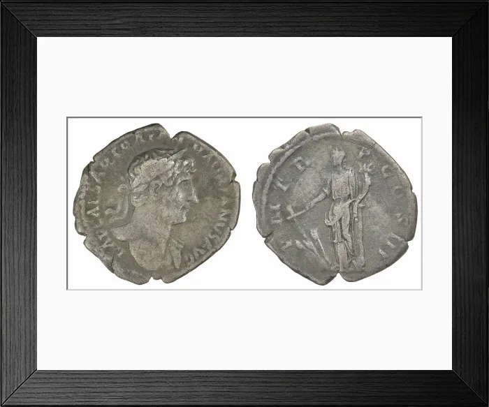 Framed Print : denarius. Hadrian (Roman emperor; 117-138), emperor Framed Print : denarius. Hadrian (Roman emperor; 117-138), emperor