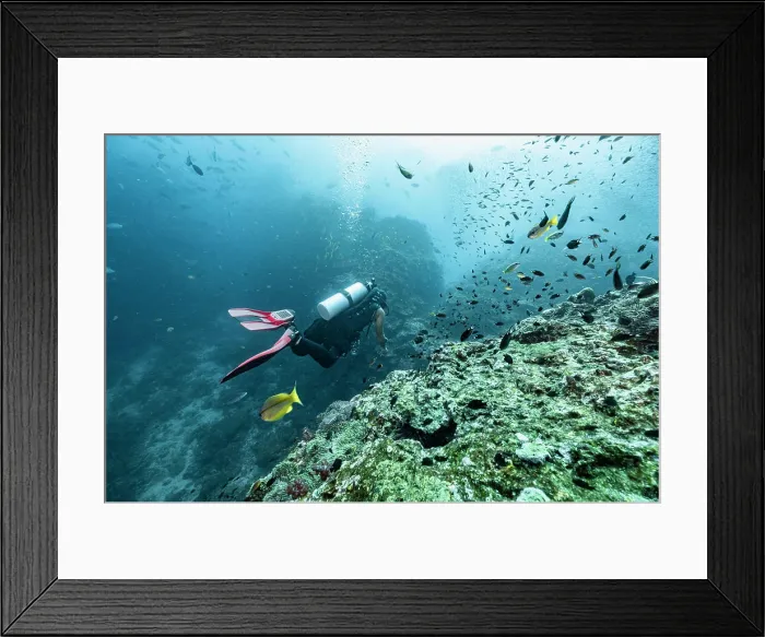 Framed Print : diver exploring the tropical waters around the Similan Islands Framed Print : diver exploring the tropical waters around the Similan Islands