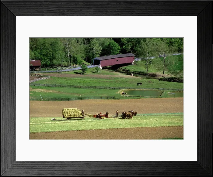 Framed Print : 1990s HORSE DRAWN AMISH HAY BAILER AND WAGON WORKING IN FIELD NEAR COVERED BRIDGE LANCASTER COUNTY PENNSYLVANIA USA