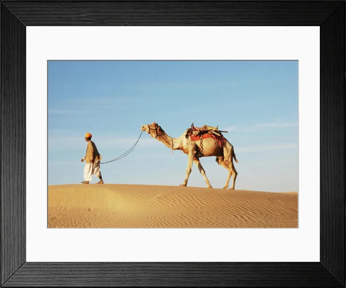 Framed Print : man with camel walking on sand dune of Khuhri jaisalmer Rajasthan India Copyright: xSarveshxJoshi / DinodiaxPhotox Framed Print : man with camel walking on sand dune of Khuhri jaisalmer Rajasthan India Copyright: xSarveshxJoshi / DinodiaxPhotox