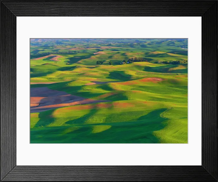 Framed Print : Palouse farmlands from Steptoe Butte in WA, USA