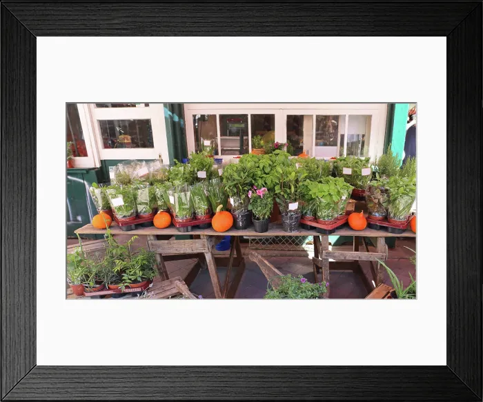 Framed Print : Herbs in Pots Various Edible Fresh Herbs in Pots Copyright: xZoonar.com / MarkoxBericx 13091732 Framed Print : Herbs in Pots Various Edible Fresh Herbs in Pots Copyright: xZoonar.com / MarkoxBericx 13091732