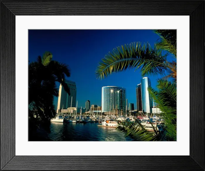Framed Print : View through palm trees of hotels and boats in the marina in San Diego, California Framed Print : View through palm trees of hotels and boats in the marina in San Diego, California
