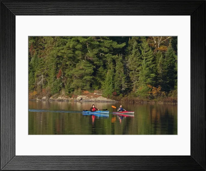 Framed Print : Middle_aged couple enjoy early morning paddle in kayaks on Source Lake, Algonquin Park, Ontario, Canada Framed Print : Middle_aged couple enjoy early morning paddle in kayaks on Source Lake, Algonquin Park, Ontario, Canada