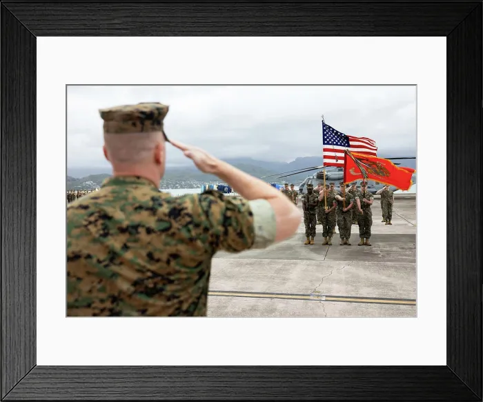 Framed Print : U.S. Marine Corps Lt. Col. Kelly Allen Framed Print : U.S. Marine Corps Lt. Col. Kelly Allen