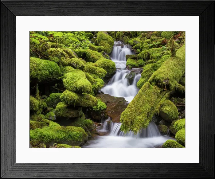 Framed Print : USA, Washington, Olympic National Park. Small stream in forest Framed Print : USA, Washington, Olympic National Park. Small stream in forest