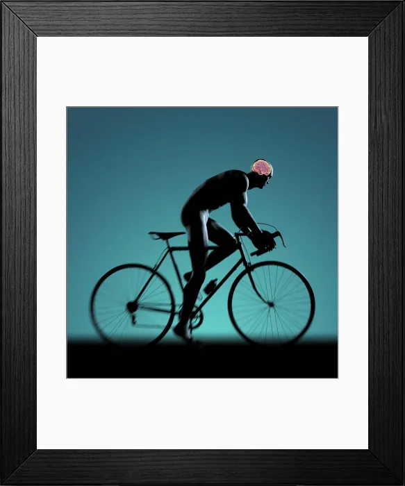Framed Print : Silhouetted male figure cycling a bicycle with internal anatomy of the brain visible within the head Framed Print : Silhouetted male figure cycling a bicycle with internal anatomy of the brain visible within the head