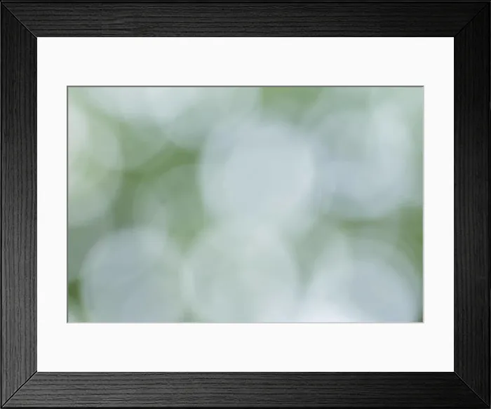 Framed Print : Bokeh from natural light Framed Print : Bokeh from natural light