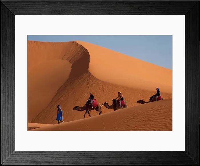 Framed Print : Tourists on camel trek in the Erg Chebbi Desert Framed Print : Tourists on camel trek in the Erg Chebbi Desert