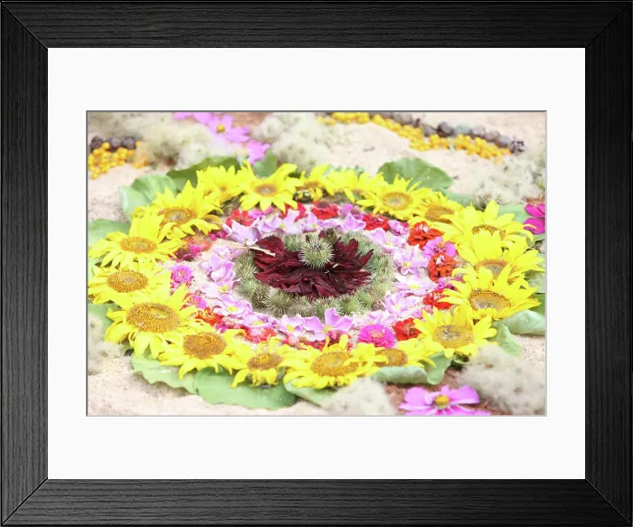 Framed Print : Vegetal mandala