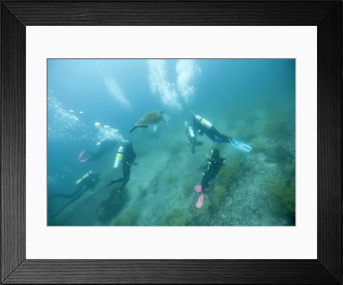 Framed Print : Ecuador, Galapagos Islands National Park Framed Print : Ecuador, Galapagos Islands National Park