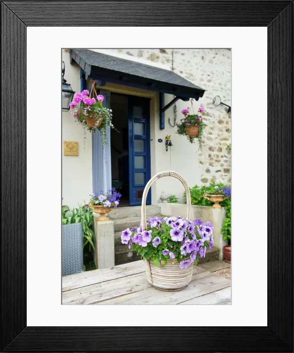 Framed Print : French garden Flower pot Pink Petunias in French garden Copyright: xZoonar.com / IvonnexWierinkx 7803079 Framed Print : French garden Flower pot Pink Petunias in French garden Copyright: xZoonar.com / IvonnexWierinkx 7803079