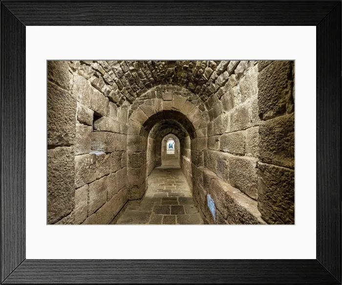 Framed Print : The Monastery of San Salvador of Leyre at Yesa Framed Print : The Monastery of San Salvador of Leyre at Yesa