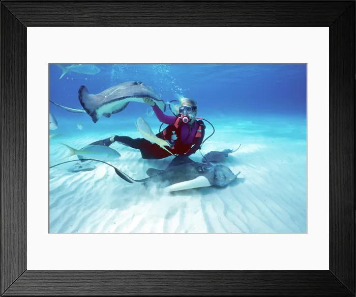Framed Print : Stingray City, Grand Cayman, Cayman Islands, Caribbean. MR