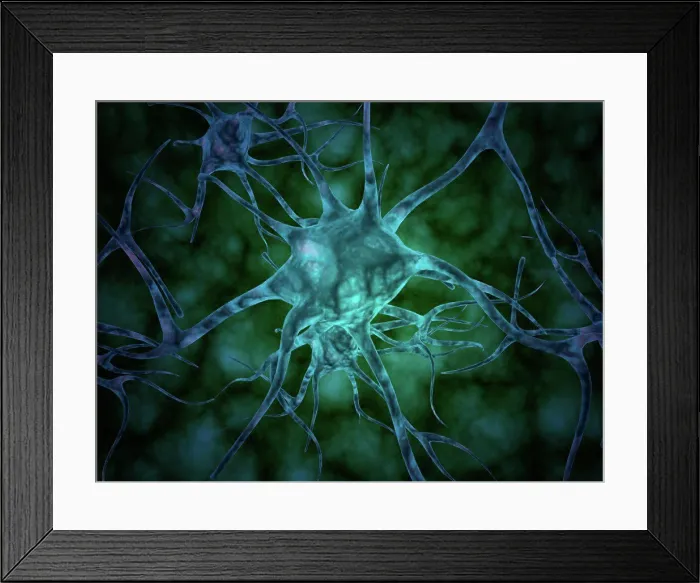Framed Print : Microscopic view of multiple nerve cells