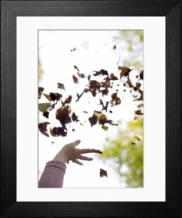Framed Print : A hand throwing leaves in the air, Sweden Framed Print : A hand throwing leaves in the air, Sweden