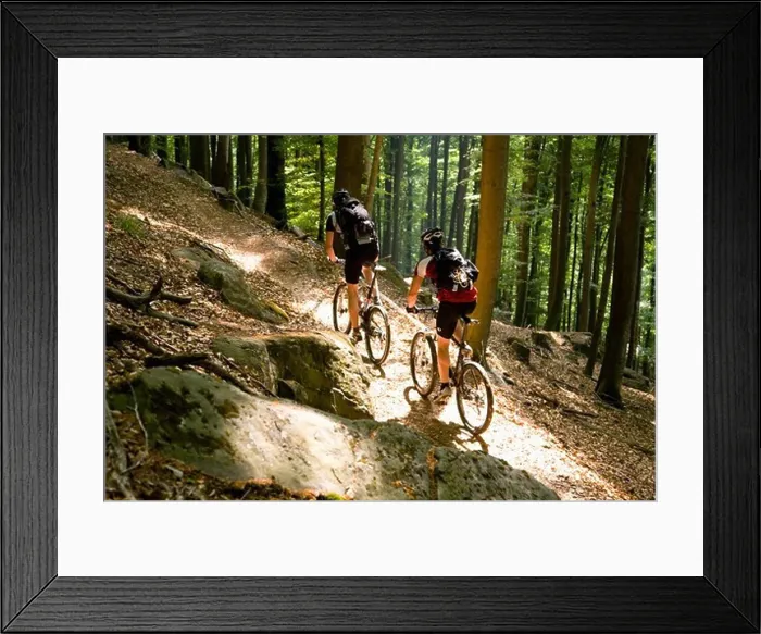 Framed Print : Two mountain bikers passing forest trail, Palatine Forest, Rhineland-Palentine, Germany Framed Print : Two mountain bikers passing forest trail, Palatine Forest, Rhineland-Palentine, Germany