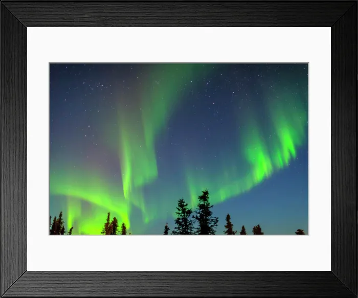 Framed Print : Aurora borealis, Northern Lights seen at night in outskirts of Fairbanks, Alaska Framed Print : Aurora borealis, Northern Lights seen at night in outskirts of Fairbanks, Alaska