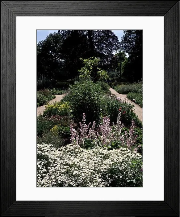 Framed Print : Moyland, Castle Park Framed Print : Moyland, Castle Park