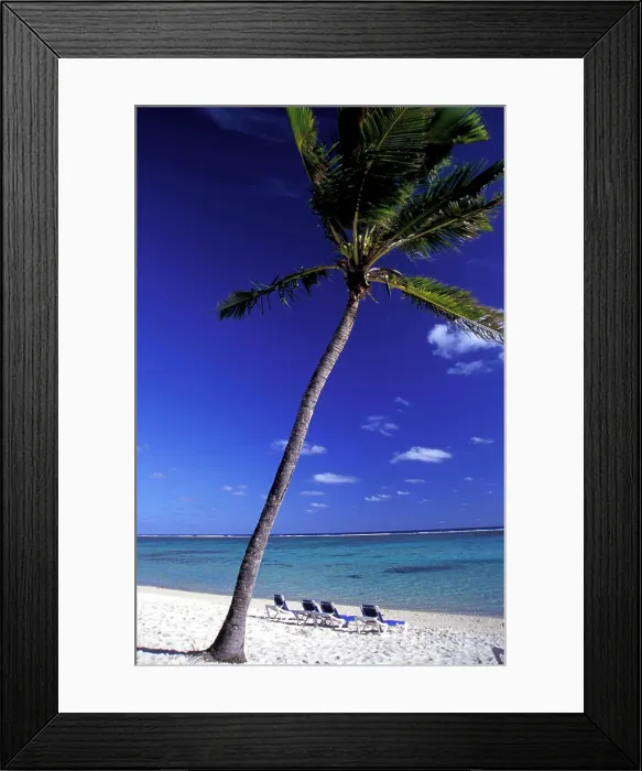 Framed Print : Four sun loungers on empty tropical beach beside palm tree, Aroa Beach, Rarotonga, Cook Island