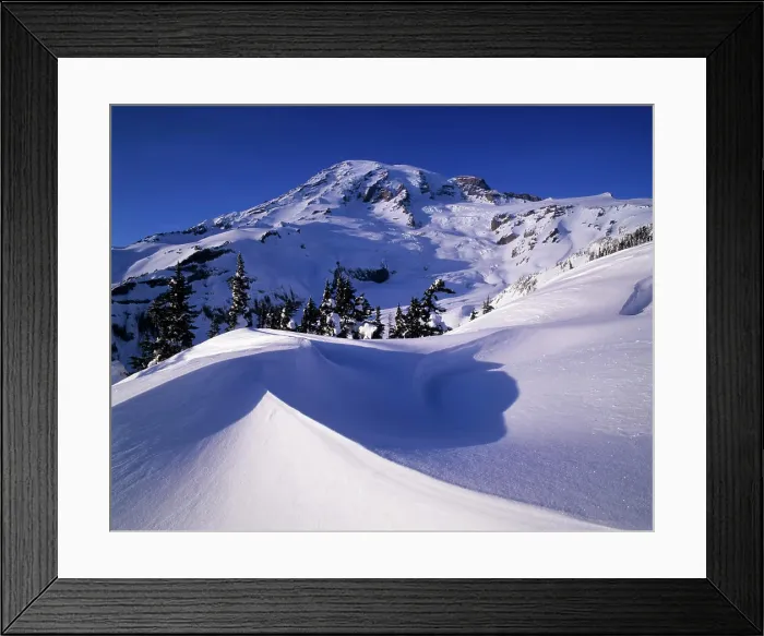Framed Print : Washington State, Mount Rainier National Park, view from Glacier Vista Framed Print : Washington State, Mount Rainier National Park, view from Glacier Vista