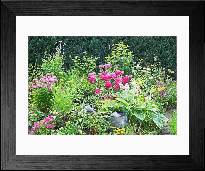 Framed Print : Perennial bed in summer Framed Print : Perennial bed in summer