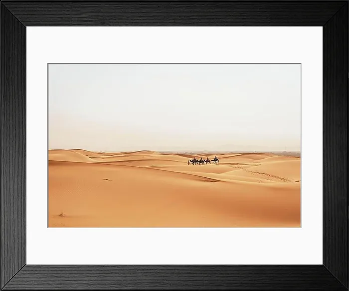 Framed Print : Caravan with dromedaries (Camelus dromedarius), sand dunes in the desert, Erg Chebbi, Merzouga, Sahara, Morocco, Africa Framed Print : Caravan with dromedaries (Camelus dromedarius), sand dunes in the desert, Erg Chebbi, Merzouga, Sahara, Morocco, Africa
