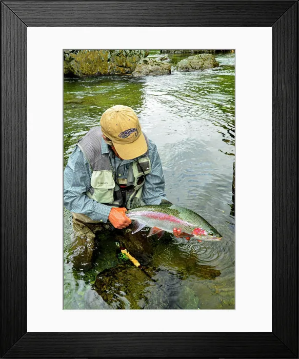 Framed Print : A nice rainbow trout from a backcountry river in N.Z Framed Print : A nice rainbow trout from a backcountry river in N.Z