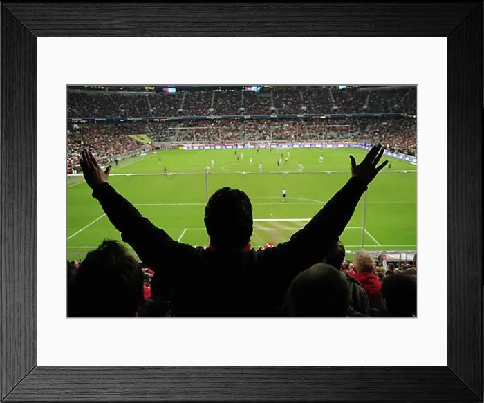Framed Print : Spectators in a stadium during a football match
