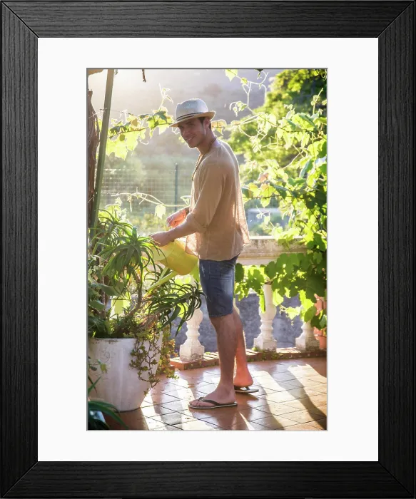 Framed Print : Young man watering plants in garden Side view of young stylish man watering plants in garden in sunlight Framed Print : Young man watering plants in garden Side view of young stylish man watering plants in garden in sunlight