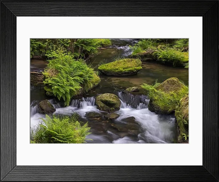 Framed Print : Flowing, silky water with ferns and rocks in the Edmunds Gorge Framed Print : Flowing, silky water with ferns and rocks in the Edmunds Gorge