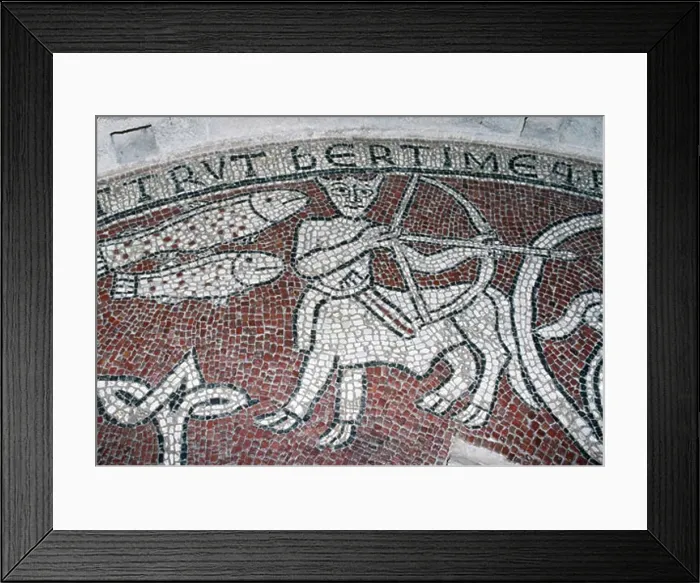 Framed Print : Pisces and Sagittarius Zodiac Signs