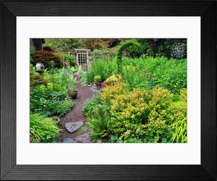 Framed Print : USA, Washington State, Sammamish. Garden in bloom in sunny location Framed Print : USA, Washington State, Sammamish. Garden in bloom in sunny location