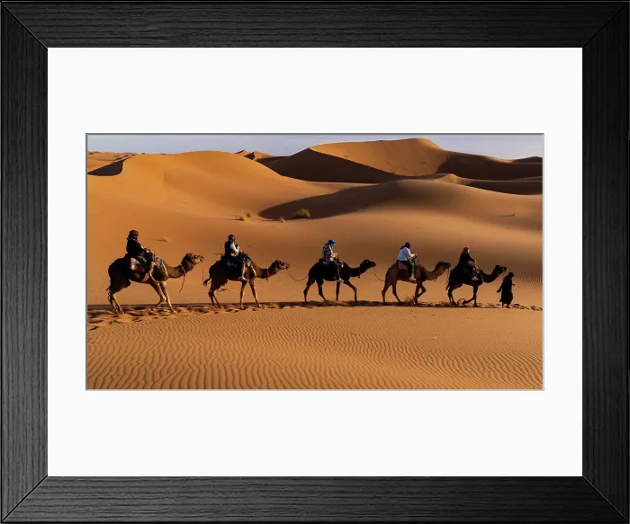 Framed Print : Camel caravan traversing golden desert dunes in the Sahara at sunset