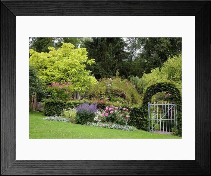 Framed Print : Arch of hornbeam at the entrance of a garden Framed Print : Arch of hornbeam at the entrance of a garden