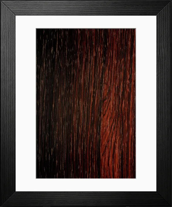 Framed Print : Longitudinal section of Brazilian rosewood (Dalbergia nigra) synonyme : Bahia Rosewood, Pianowood, Rio Rosewood, Brazil