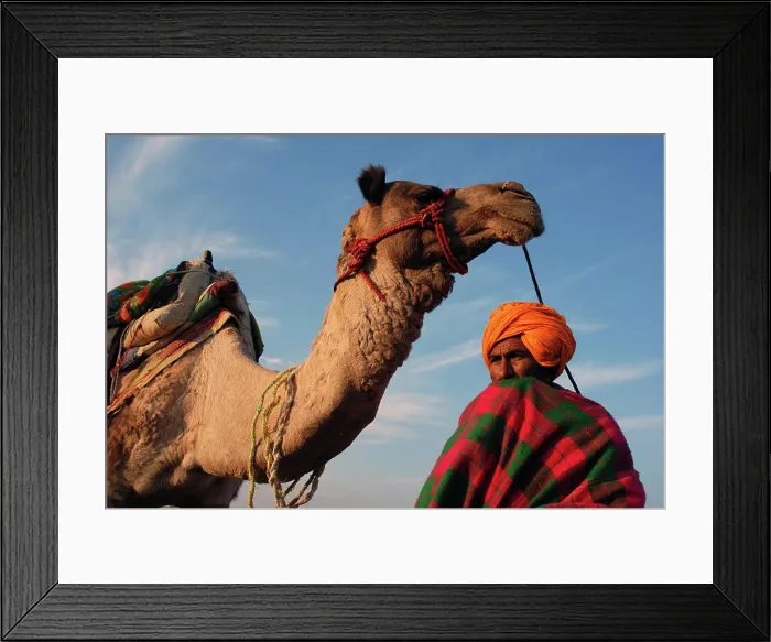 Framed Print : Man and camel Khuri Khuhri Jaisalmer Rajasthan India NOMR Copyright: xShivjixJoshi / DinodiaxPhotox Framed Print : Man and camel Khuri Khuhri Jaisalmer Rajasthan India NOMR Copyright: xShivjixJoshi / DinodiaxPhotox