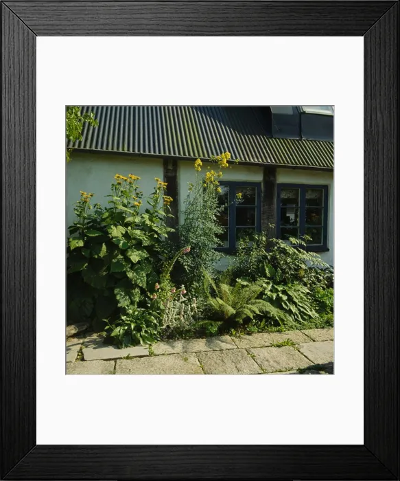 Framed Print : Late summer border in front of cottage Framed Print : Late summer border in front of cottage