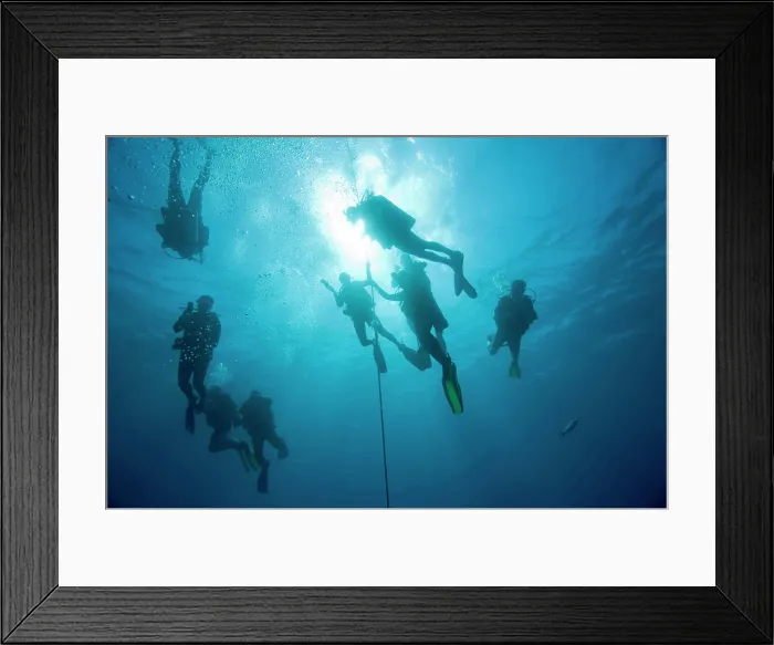 Framed Print : Bahamas, Grand Bahama Island, Freeport, Underwater view of scuba divers during safety stop 30 feet down in Caribbean Sea Framed Print : Bahamas, Grand Bahama Island, Freeport, Underwater view of scuba divers during safety stop 30 feet down in Caribbean Sea