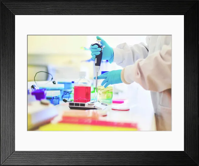 Framed Print : Labratory scientist extracting dna and biological material for testing from test tube on his desk Framed Print : Labratory scientist extracting dna and biological material for testing from test tube on his desk