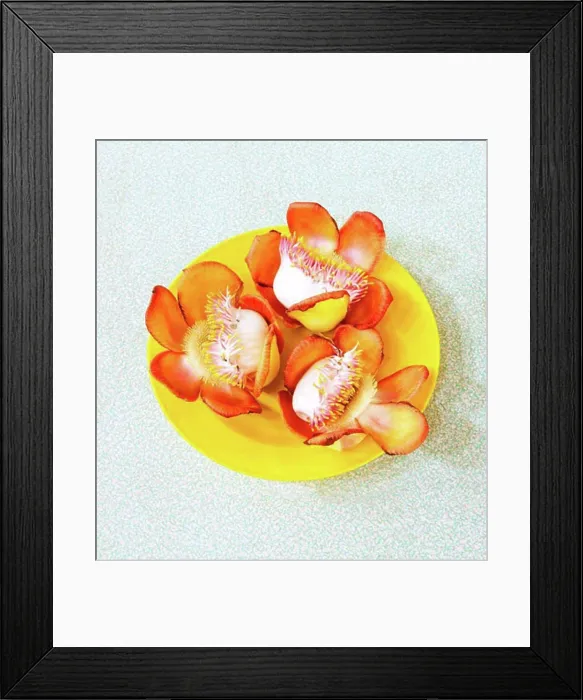 Framed Print : Flowers on a plate, Myanmar Framed Print : Flowers on a plate, Myanmar
