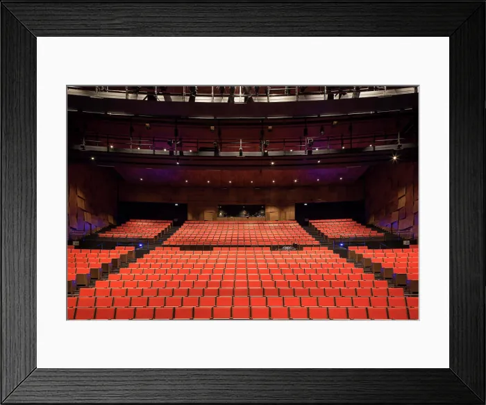 Framed Print : Theatre hall. Sénart Theatre, Paris, France. Architect: Chaix & Morel et Associés, 2016 Framed Print : Theatre hall. Sénart Theatre, Paris, France. Architect: Chaix & Morel et Associés, 2016