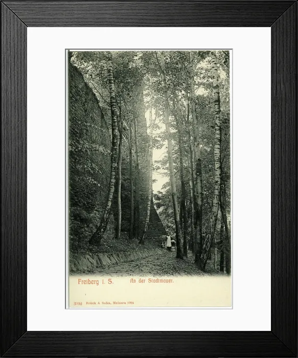 Framed Print : At the city wallFreiberg. At the city wall