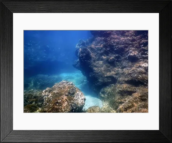 Framed Print : Sea Life Underwater Rocks Sunlight, Underwater Life, wildlife Framed Print : Sea Life Underwater Rocks Sunlight, Underwater Life, wildlife