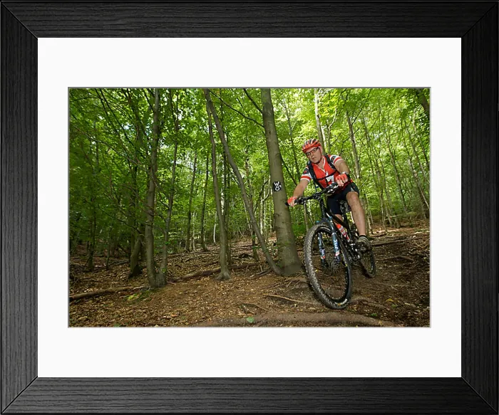 Framed Print : Mountain bike rider riding along a root singletrail near Willingen, Hesse, Germany, Europe Framed Print : Mountain bike rider riding along a root singletrail near Willingen, Hesse, Germany, Europe