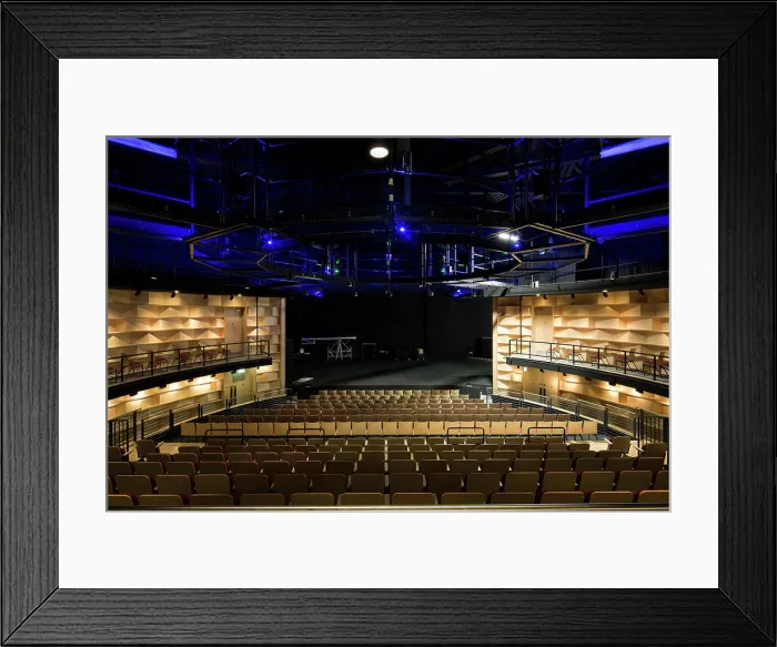 Framed Print : Interior view of auditorium. Attenborough Centre, Brighton, United Kingdom. Architect: RH Partnership, 2015 Framed Print : Interior view of auditorium. Attenborough Centre, Brighton, United Kingdom. Architect: RH Partnership, 2015
