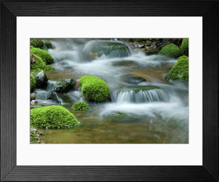 Framed Print : Forest Stream flowing over Mossy Rocks