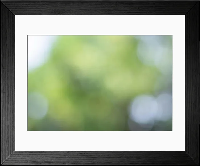 Framed Print : Sunlight bokeh the green leaves of trees natural blurred Framed Print : Sunlight bokeh the green leaves of trees natural blurred