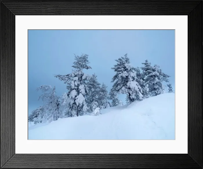 Framed Print : Snow-covered trees on the background of Arctic hills