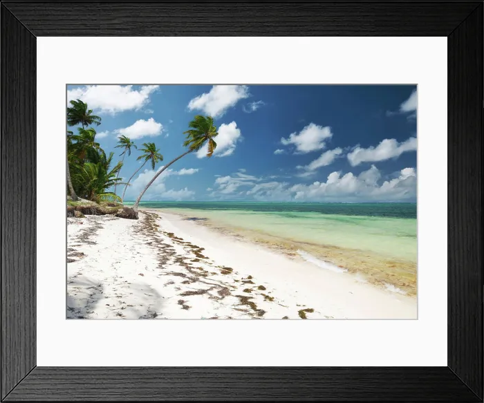 Framed Print : Caribbean wild beach Wild caribbean beach in Dominican Republic Copyright: xZoonar.com / NikolaixOkhitinx 16630489 Framed Print : Caribbean wild beach Wild caribbean beach in Dominican Republic Copyright: xZoonar.com / NikolaixOkhitinx 16630489